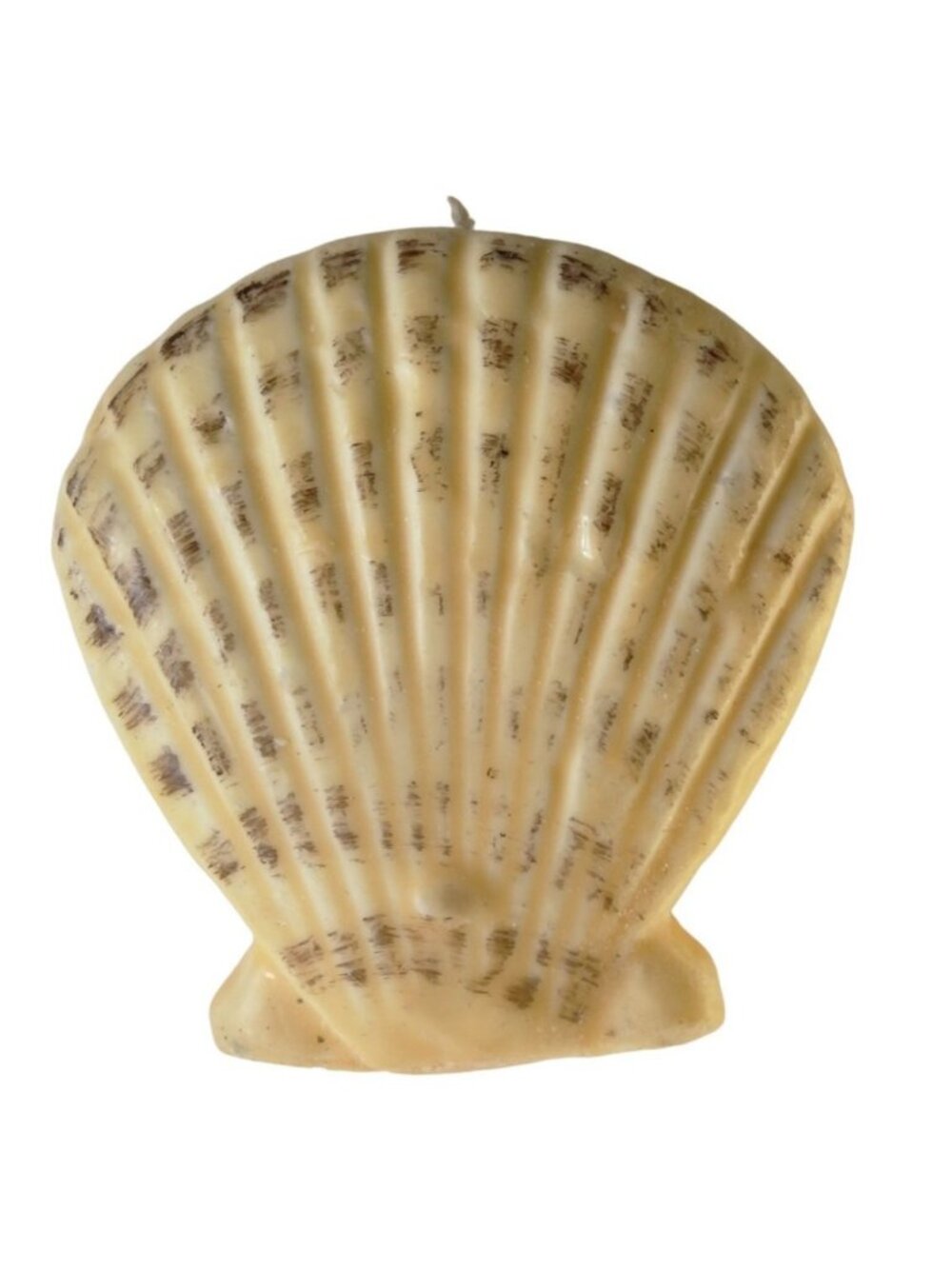 Scallop shell shaped wax candle New Vintage Tropical Beachy Pool Party